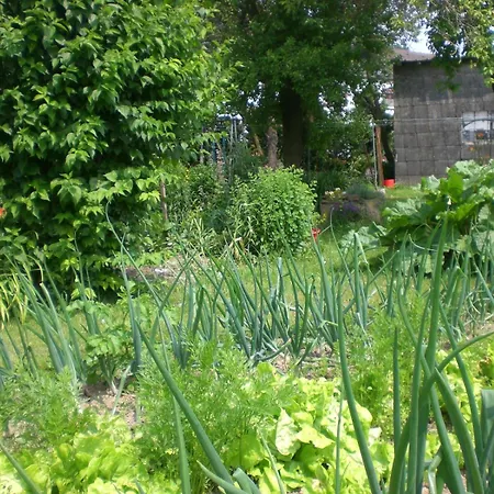 An Der Lay * Kerpen (Rhineland-Palatinate)