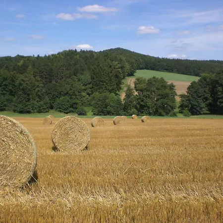 An Der Lay Appartement Kerpen (Rhineland-Palatinate)