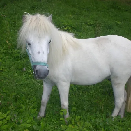 An Der Lay * Kerpen (Rhineland-Palatinate)
