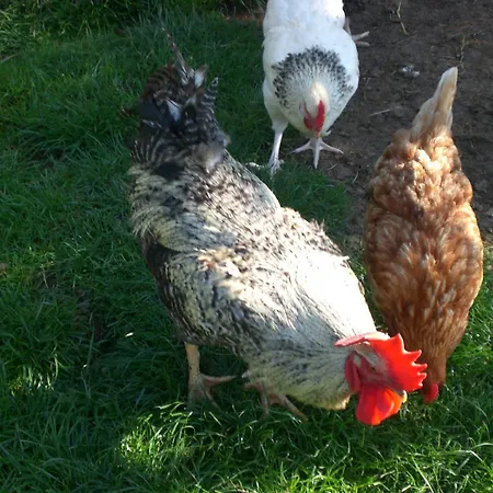 Appartamento An Der Lay *