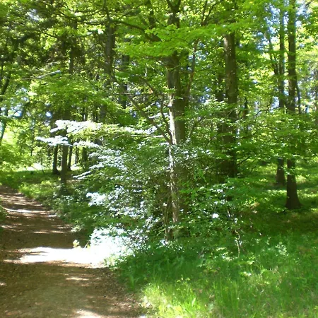 An Der Lay Apartment Kerpen (Rhineland-Palatinate)