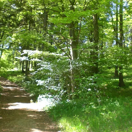 An Der Lay Appartement Kerpen (Rhineland-Palatinate)