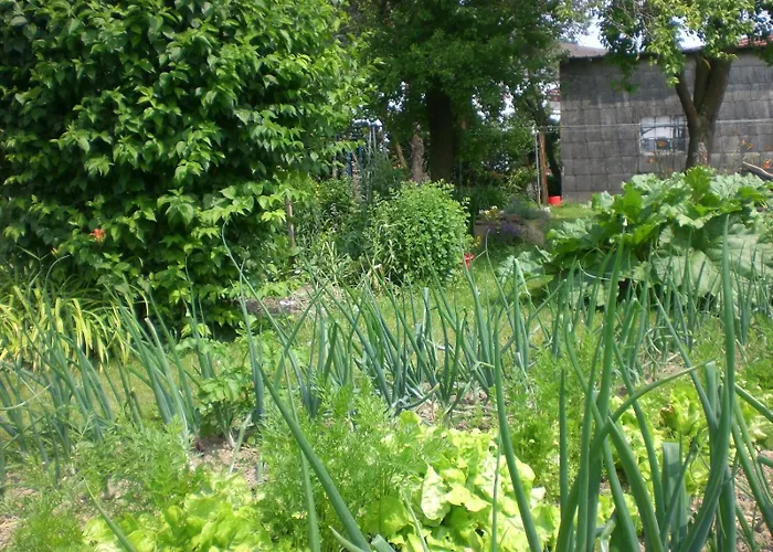 An Der Lay * Kerpen (Rhineland-Palatinate)