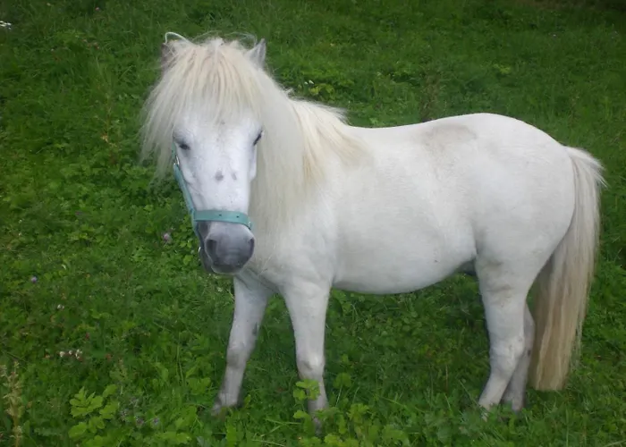 An Der Lay * Kerpen (Rhineland-Palatinate)