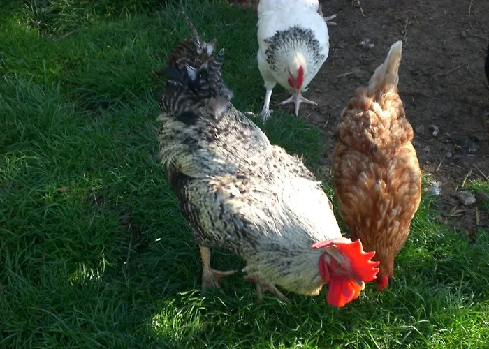 Apartment An Der Lay *