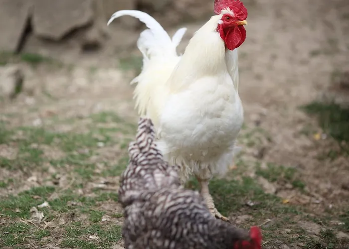 An Der Lay Kerpen (Rhineland-Palatinate)